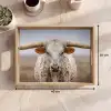Longhorn - Grasveld - Dier Dienblad Rechthoek middel -USP_Formaat