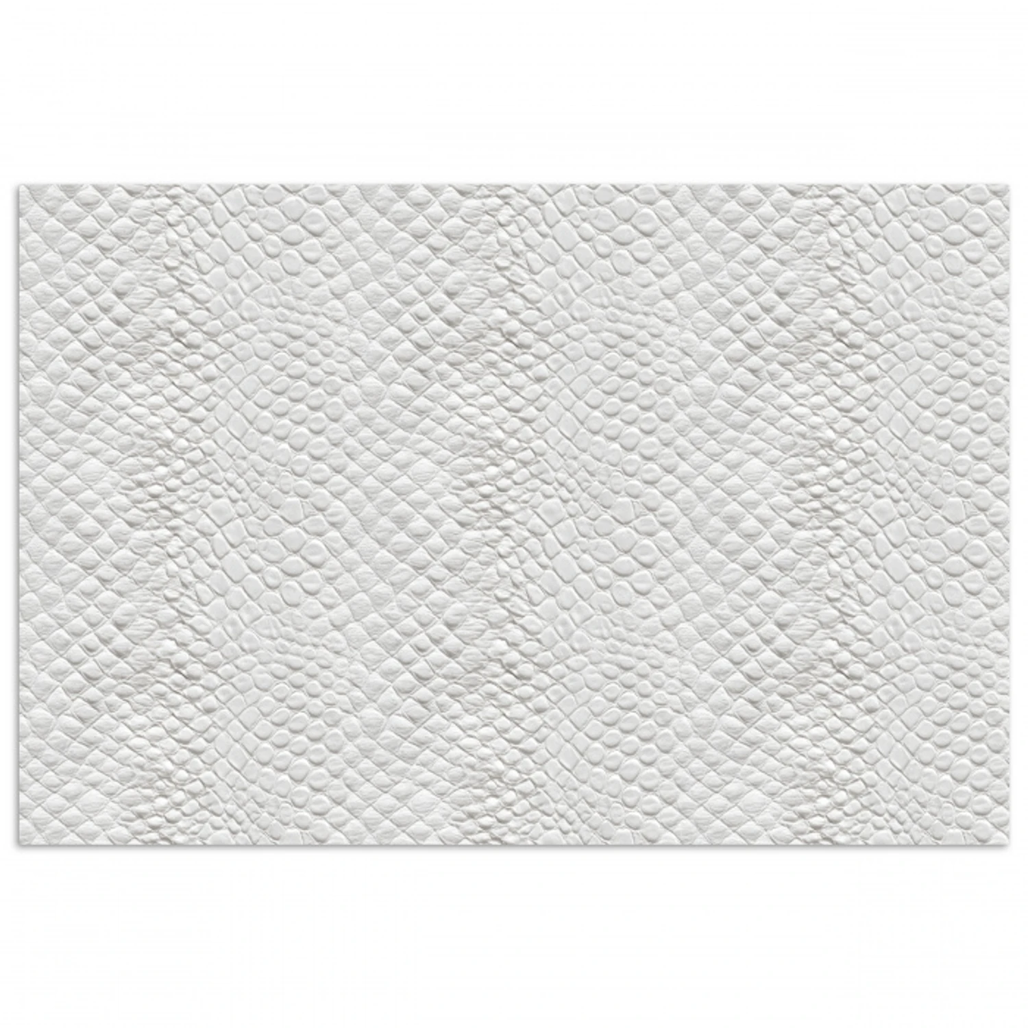 Slang - Patroon - Wit poster papier klein 62 -3d