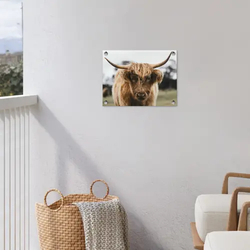Schotse Hooglander -  Koe - Gras - Dieren - Natuur tuinposter los doek klein -sfeer8