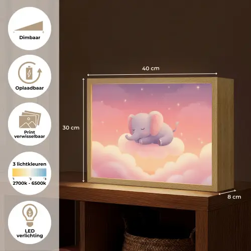 Dier - Roze - Wolken Light Box met batterij (Wandlamp kind) middel -USP_websiteoverzichtNL