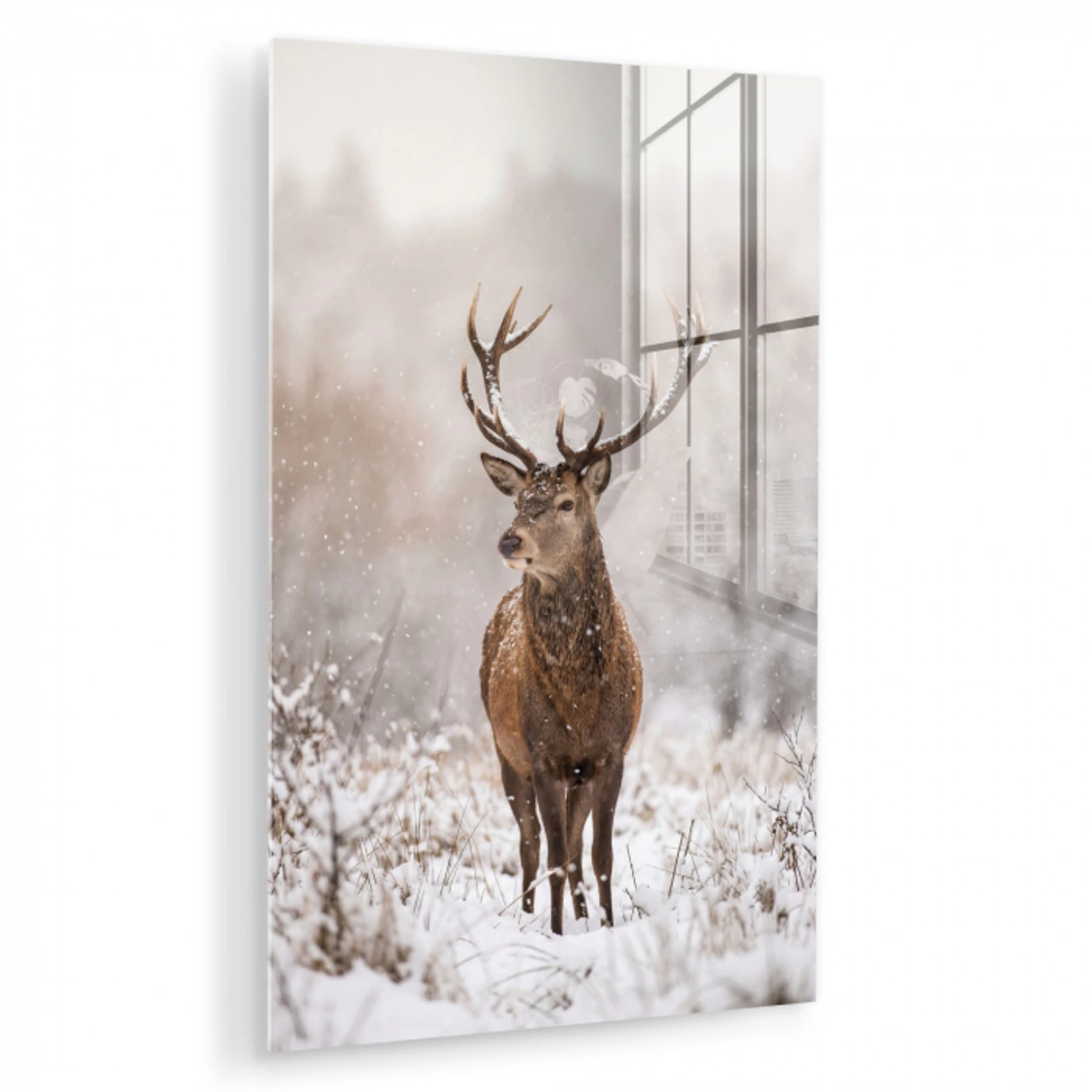 Edelhert - Bos - Sneeuw - Winter - Majestueus plexiglas 5mm klein -zzzproduct_nieuw