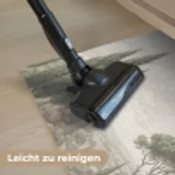 Vallei - Bos - Natuur - Groen Deurmat klein -reinigen_DE