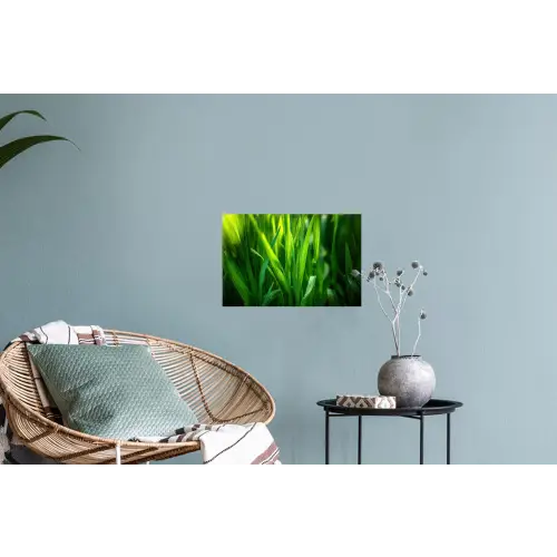 Grassprieten - Lichtinval - Groen Muursticker klein -plant