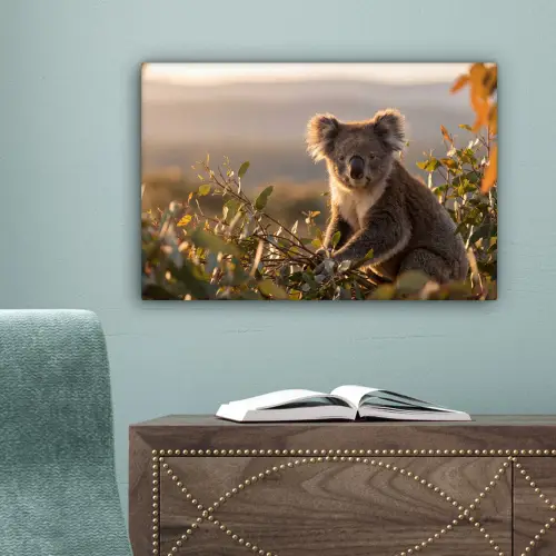Koala - Bladeren - Ochtendlicht canvas 2cm klein -sfeer4