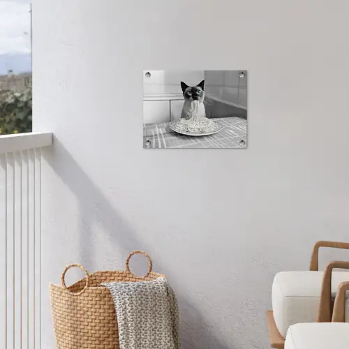 Kat - Siamees - Zwart Wit - Schattig - Dieren tuinposter los doek klein -sfeer8