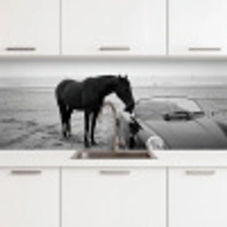 Paard - Auto - Zwart - Wit keuken achterwand 2 middel -3d