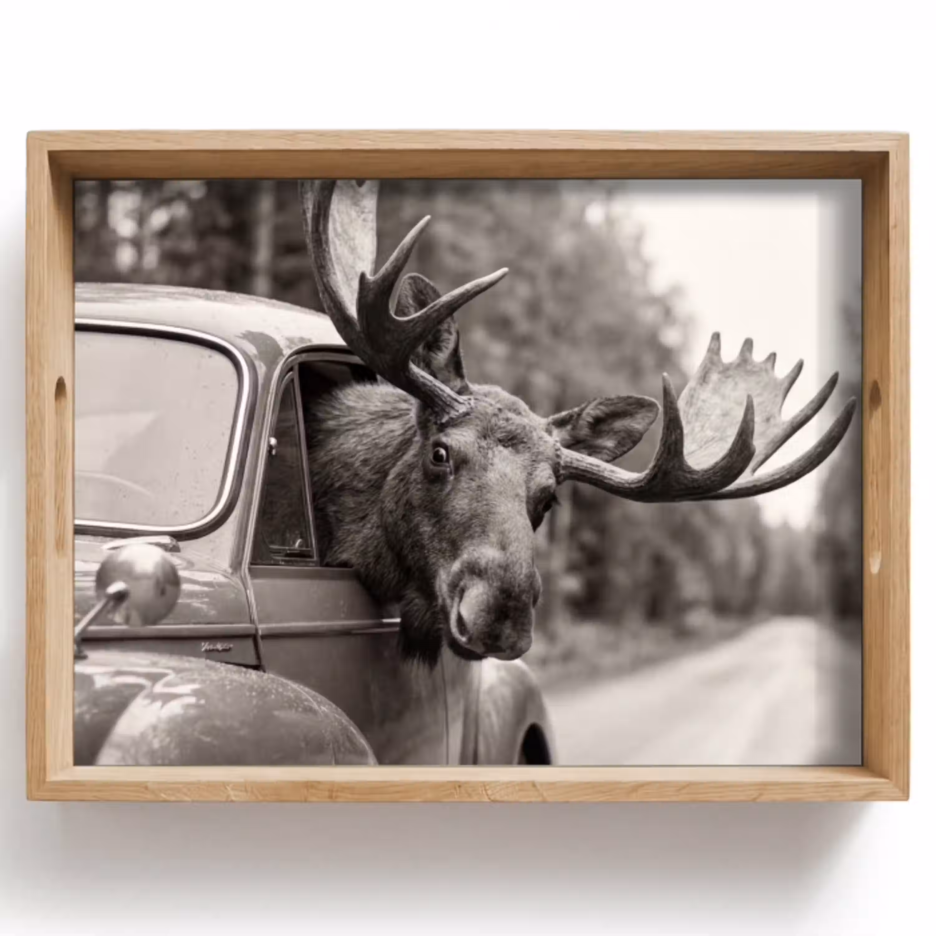 Eland - Auto - Gewei - Zwart - Wit Dienblad Rechthoek middel -z3d_shopping