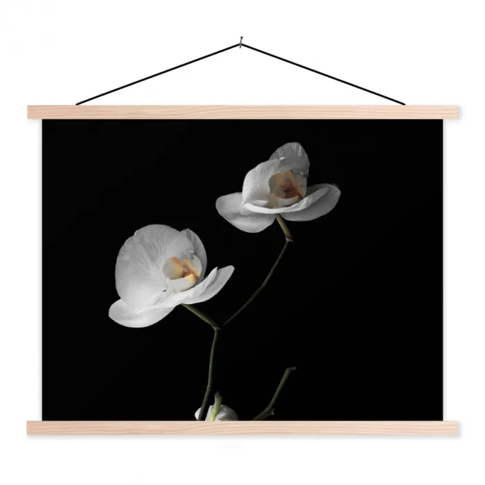 Orchidee - Bloemen - Zwart - Wit - Stilleven textielposter latten blank klein -3d