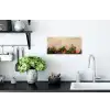 Rozen - Muur - Vintage Muursticker klein -keuken