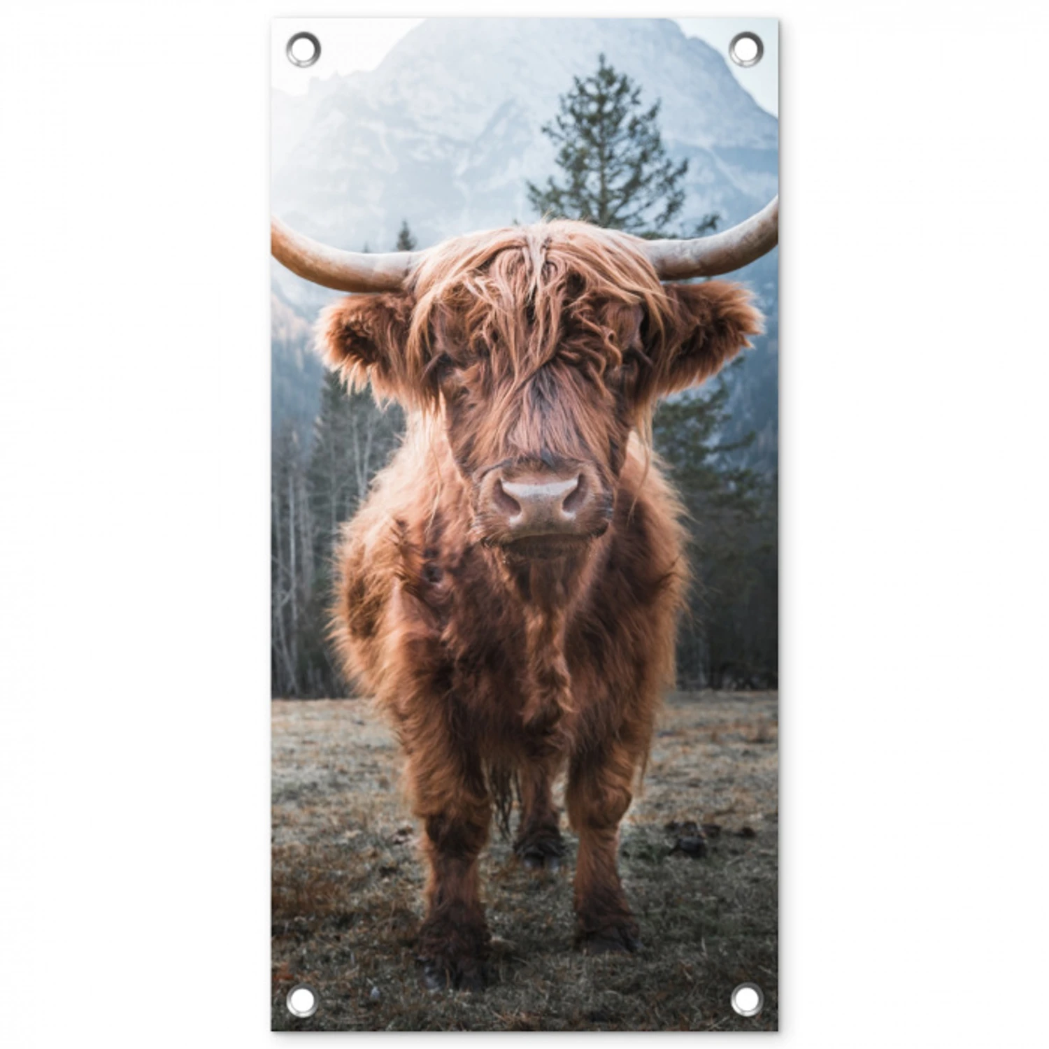 Imposante Hooglander in de Natuur tuinposter los doek klein -3d