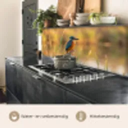 IJsvogel - Tak - Water - Kleurrijk - Levendig keuken achterwand 2 middel -usp_NL