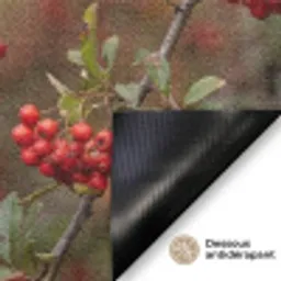 Goudvink - Bessen - Herfst - Natuur - Kleurrijk Deurmat klein -antislip_FR