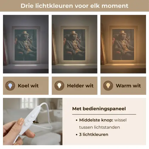 Kat - Pak - Oranje - Sigaar Light Box met kabel (Tafellamp) klein -USP_lichtkleurNL