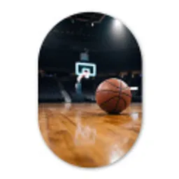 Basketbal - Arena - Sport Wandcirkel Ovaal Forex klein -3d