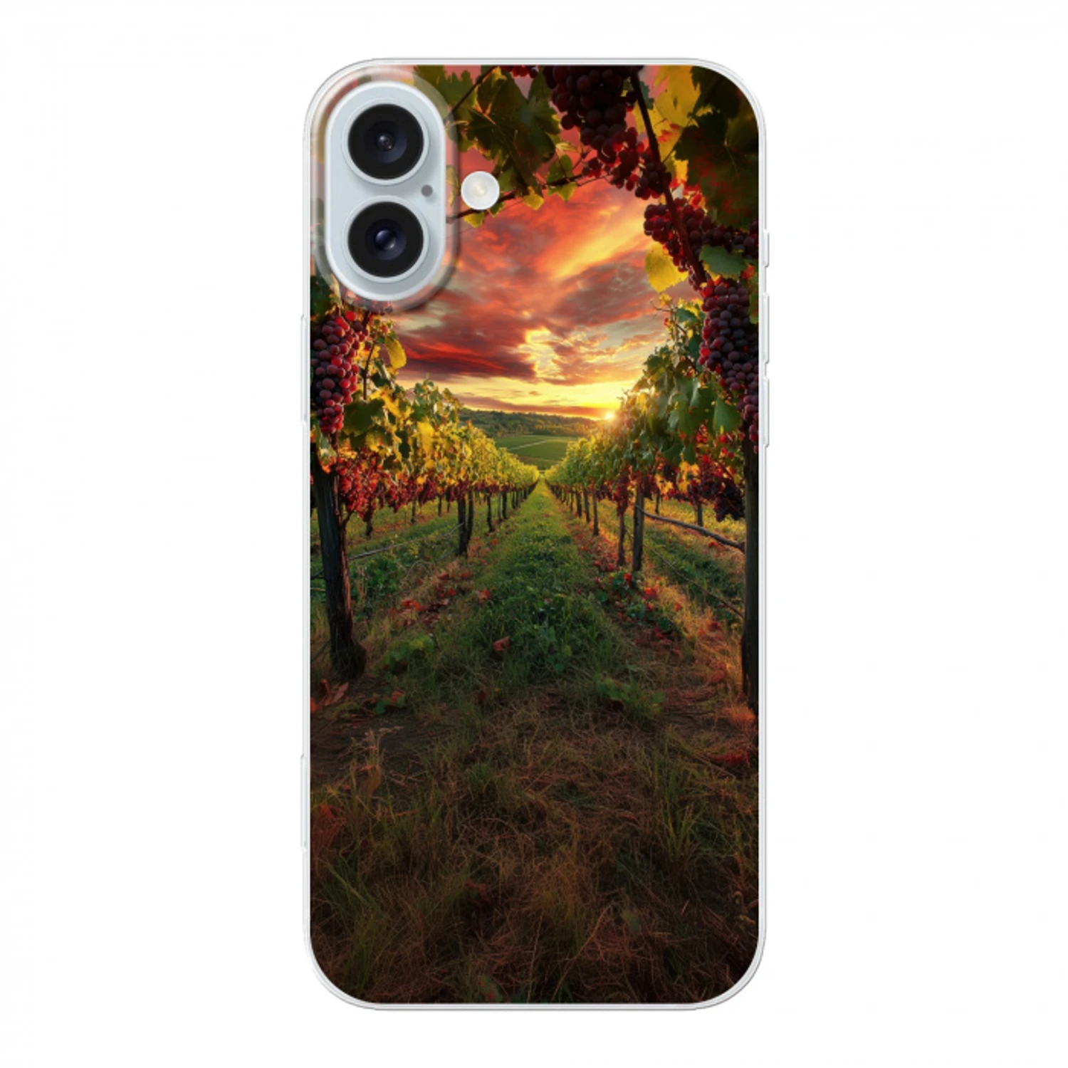 Wijngaard - Druiven - Zonsondergang Apple iPhone 16 Plus klein -3d