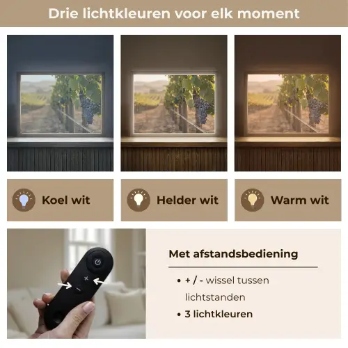 Druiven - Wijngaard - Zonlicht Light Box met batterij (Wandlamp) middel -USP_lichtkleurNL