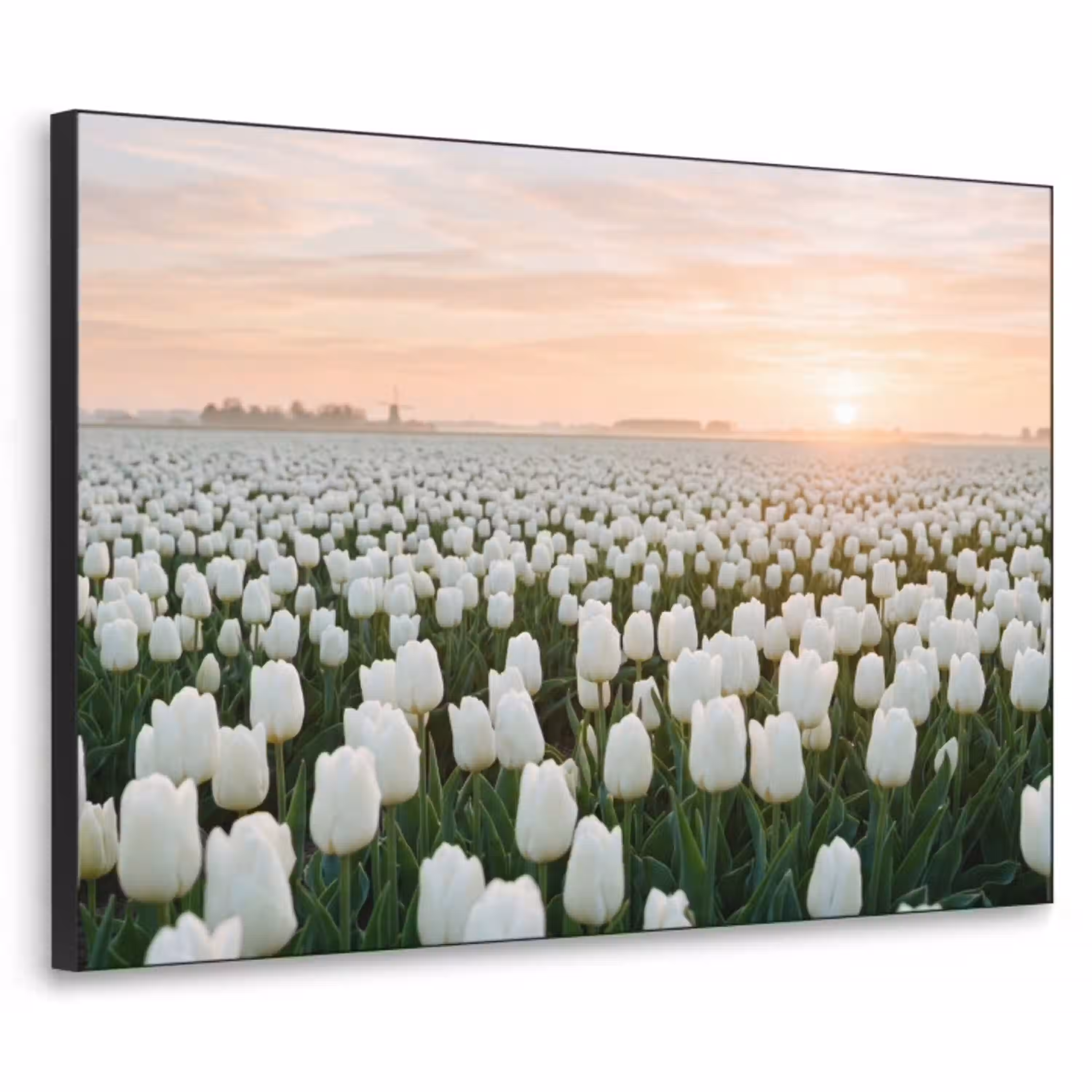 Tulpen - Landschap - Wit Textielframe zwart klein -3d