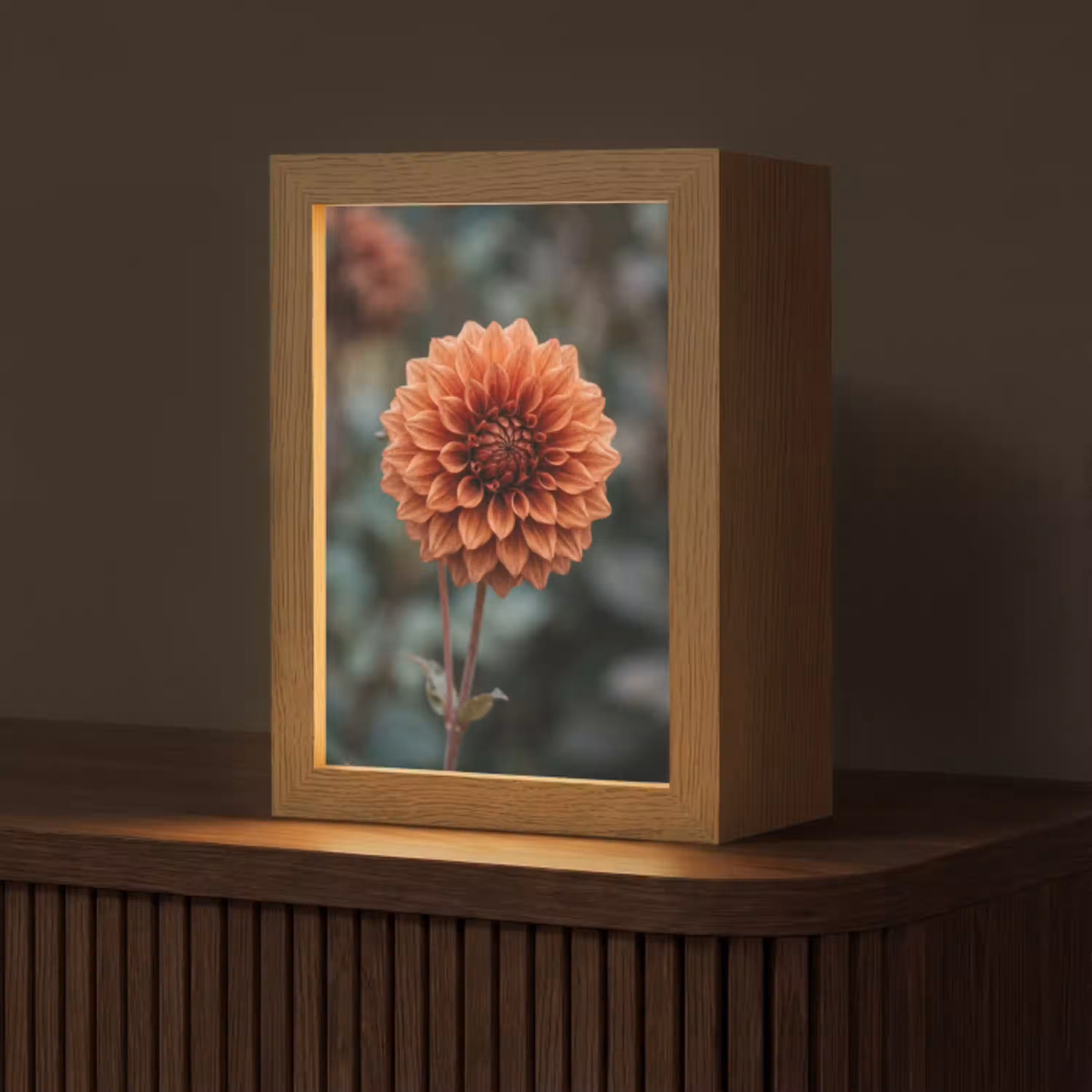 Dahlia - Bloem - Natuur - Sfeervol Light Box met kabel (Tafellamp) klein -z3d_website
