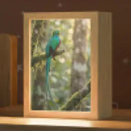 Quetzal - Jungle - Natuur - Groen Light Box met kabel (Kinderlampje) klein -zzz_3d_website