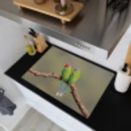Papagaai - Tak - Natuur - Kleurrijk Inductie beschemer met haakjes klein -sfeer1