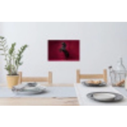 Hengst - Steigert - Rood Muursticker klein -eettafel