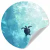 Schildpad - Zee - Blauw - Schittering Wandcirkel behangsticker klein -3d