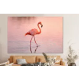 Flamingo - Water - Roze forex 5mm xxl -bovenbank