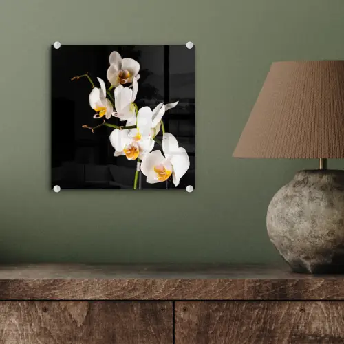 Orchidee - Bloemen - Planten - Botanisch plexiglas 5mm klein -sfeer3