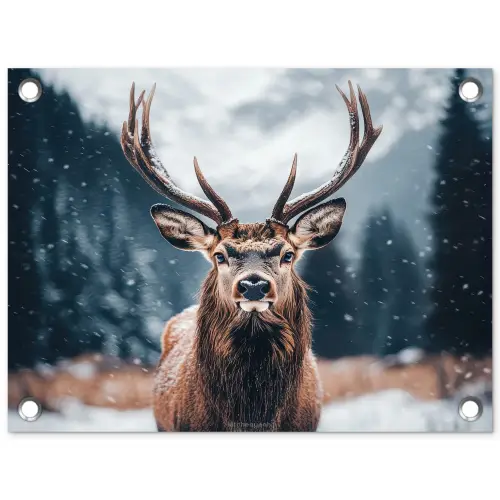 Hert - Winter - Hertenkop - Sneeuw - Gewei tuinposter los doek klein -3d