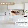Schaap - Oog - Wit keuken achterwand 2 middel -sfeer4_NL