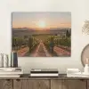 Wijngaard - Zonsondergang - Landschap PET vilt klein -sfeer1