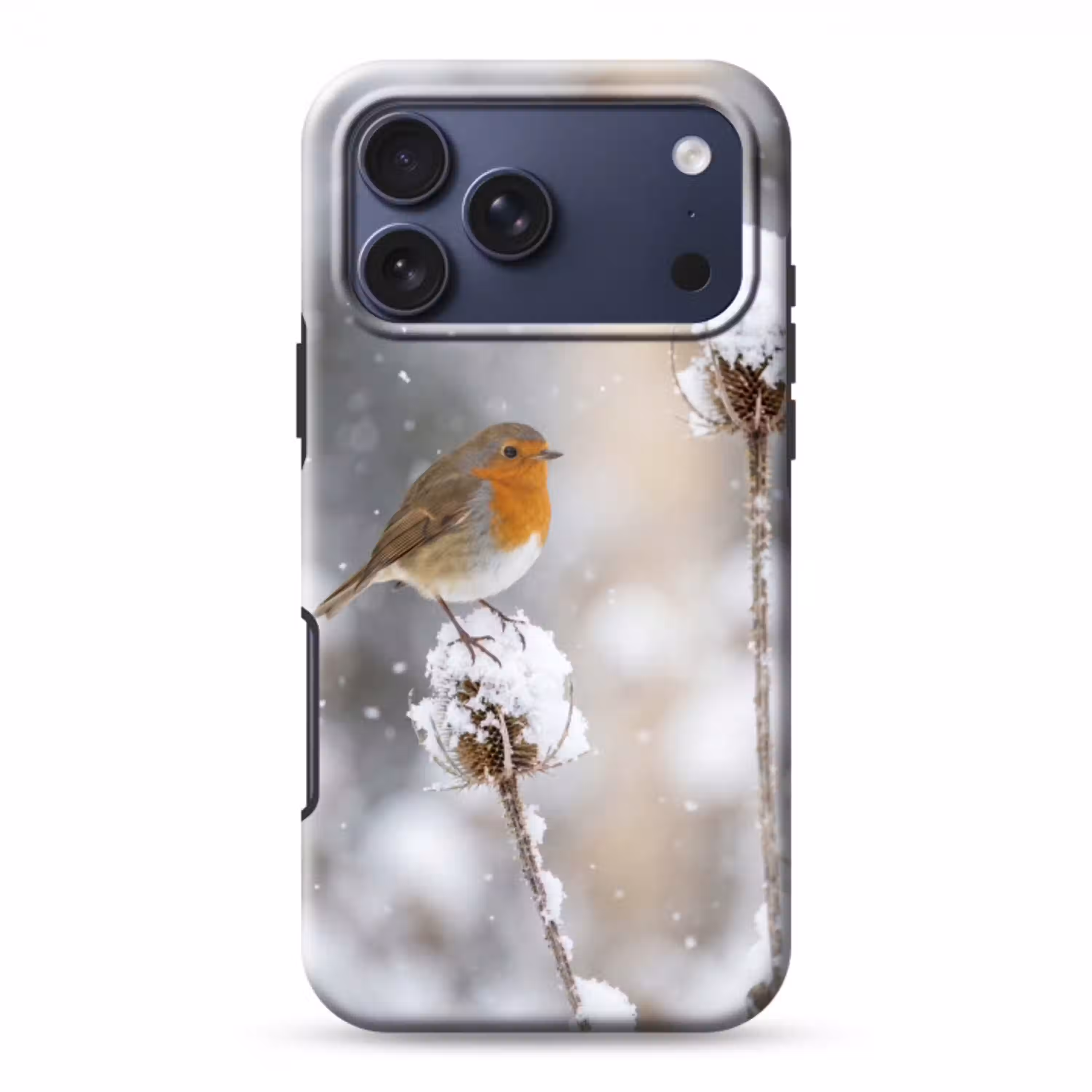 Roodborstje - Gedroogde bloem - Sneeuw - Winter - Vertederend Toughcase MagSafe Apple iPhone 17 Pro Max klein -3d