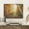 Bos - Herfst - Zon - Landschap - Natuur - Bomen - Bladeren PET vilt klein -sfeer1