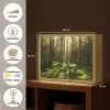 Bomen - Bos - Mos - Planten - Zon - Natuur Light Box met batterij (Wandlamp) middel -USP_websiteoverzichtNL