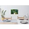 Jungle - Palmboom - Brug - Natuur - Planten Muursticker klein -eettafel