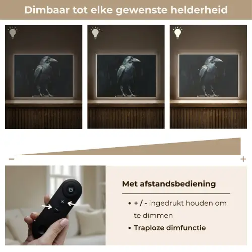 Raaf - Vogels - Zwart Light Box met batterij (Wandlamp) middel -USP_dimbaarNL