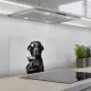 Hond - Zwart - Wijnglas - Zonnebril keuken achterwand spatscherm klein -3d_schuin
