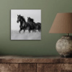 Paarden - Gras - Zwart - Wit aluminium wit klein -sfeer2