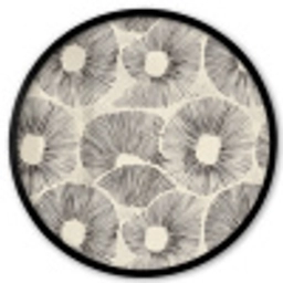 Cirkels - Patroon - Zwart Fotolijst rond zonder passe partout klein 856 -3d