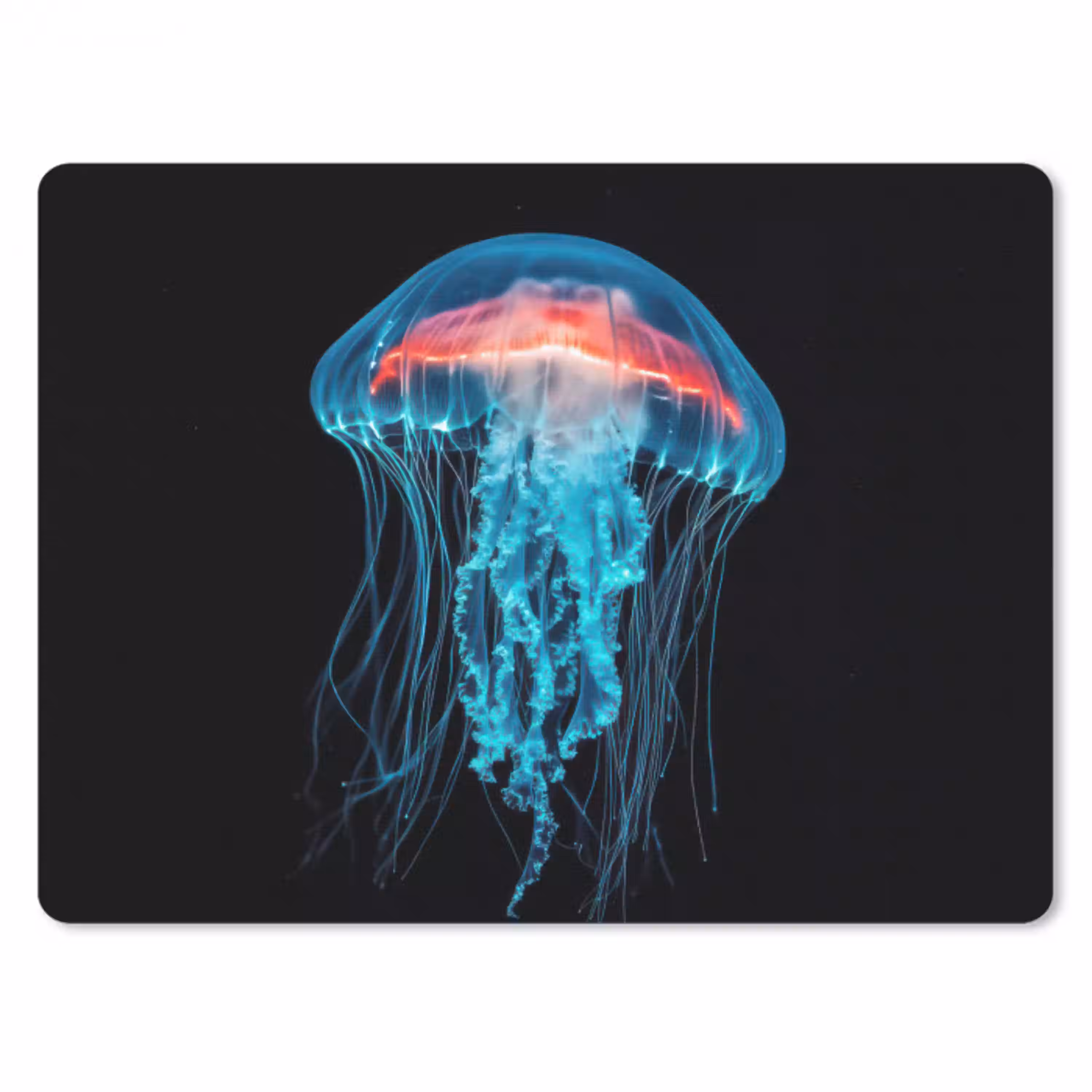 Kwal - Tentakels - Blauw - Licht muismat rubber klein -3d