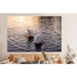 Eenden - Water - Natuur forex 5mm xxl -bovenbank
