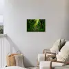 Zonnige Stralen in het Regenwoud Tuinposter op houten frame 2 cm dik klein -sfeer1