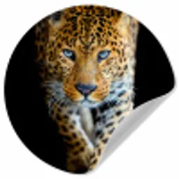 Luipaard - Dieren - Portret - Wilde dieren - Zwart Wandcirkel behangsticker klein -3d