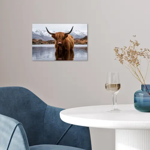Schotse hooglander - Bruin - Water poster papier klein -sfeer3