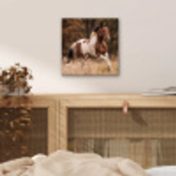 Paard - Bruin - Gras aluminium wit klein -sfeer3