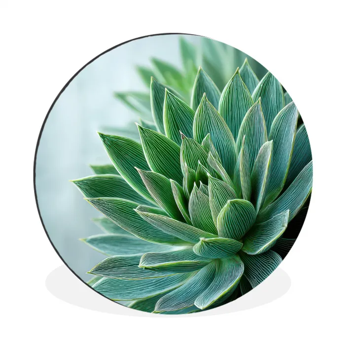 Vetplant - Bladeren - Groen - Wazig Wandcirkel aluminium klein -3d