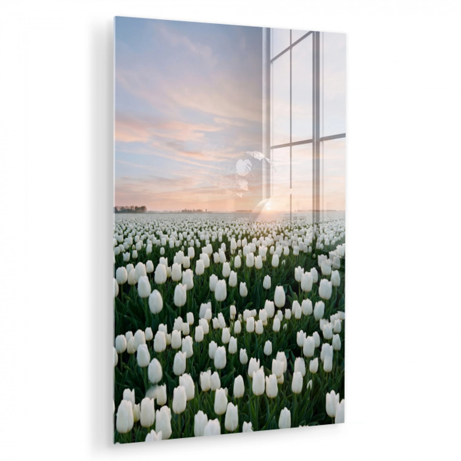 Tulpen - Landschap - Wit plexiglas 5mm klein -zzzproduct_nieuw