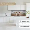Longhorn - Grasveld - Dier keuken achterwand 2 middel -sfeer4_NL