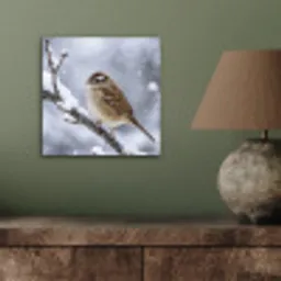 Vogel - Tak - Sneeuw - Winter aluminium wit klein -sfeer2
