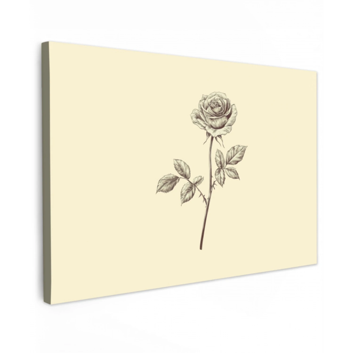 Illustratie - Zwart - Roos Tuinposter op houten frame 2 cm dik klein -3d